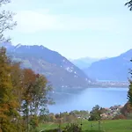 Aeschi Park Hotel 4*