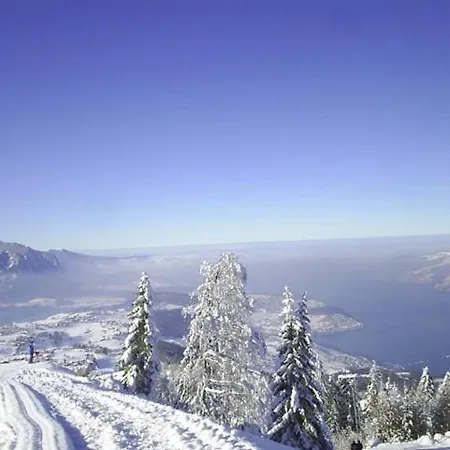 Aeschi Park Aeschi Bei Spiez