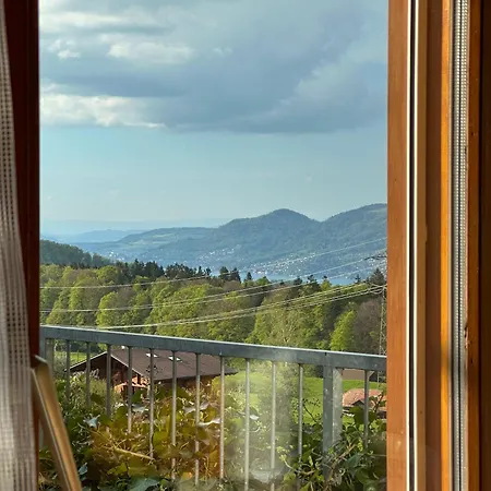 Aeschipark Aparthotel Aeschi Bei Spiez
