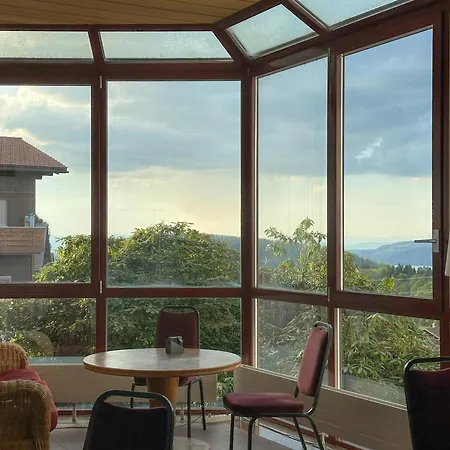 Aeschipark 4* Aeschi Bei Spiez