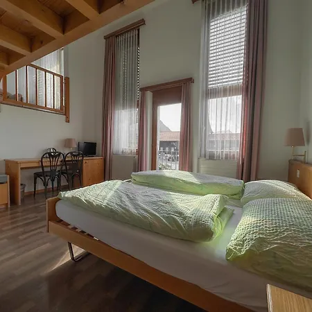 Aparthotel Aeschipark 4*