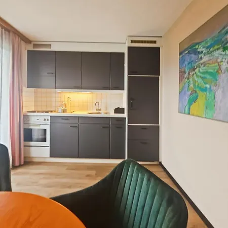 Aeschi Park מלון 4*