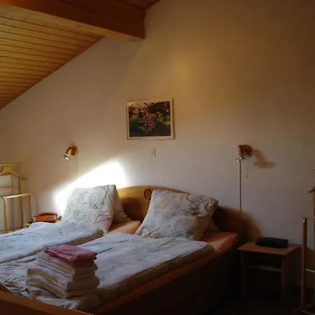 酒店 Aeschi Park Aeschi Bei Spiez