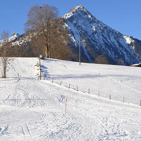 酒店 Aeschi Park Aeschi Bei Spiez