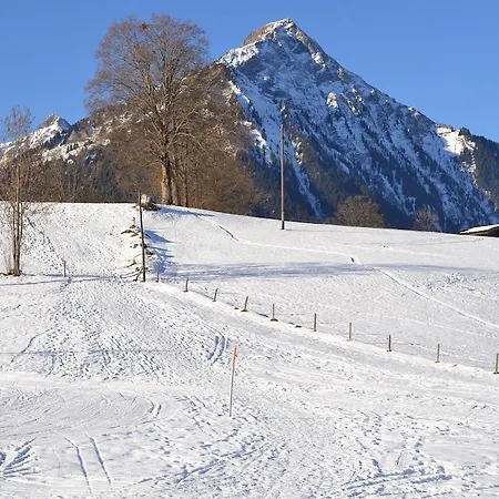 Hotel Aeschipark Aeschi Bei Spiez