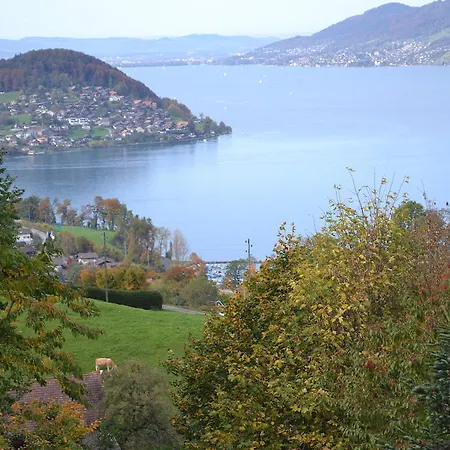 Aeschi Interlaken - Handwritten Collection Hotel