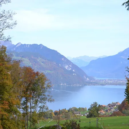 Aeschi Park מלון 4*