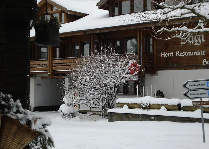 מלון Aeschi Park 4*