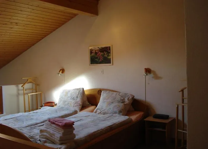 מלון Aeschi Park Aeschi Bei Spiez