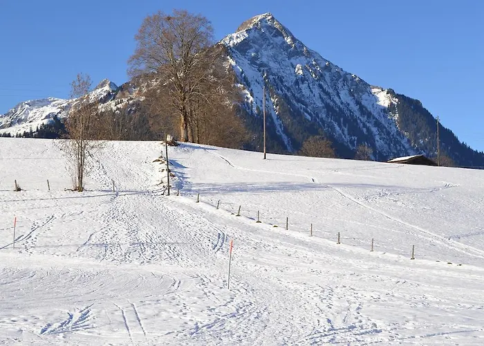 Hotel Aeschi Park Aeschi Bei Spiez