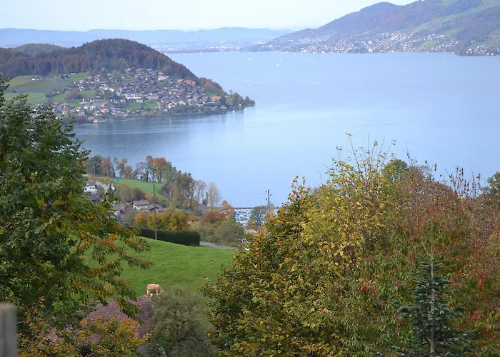 Aeschi Park מלון