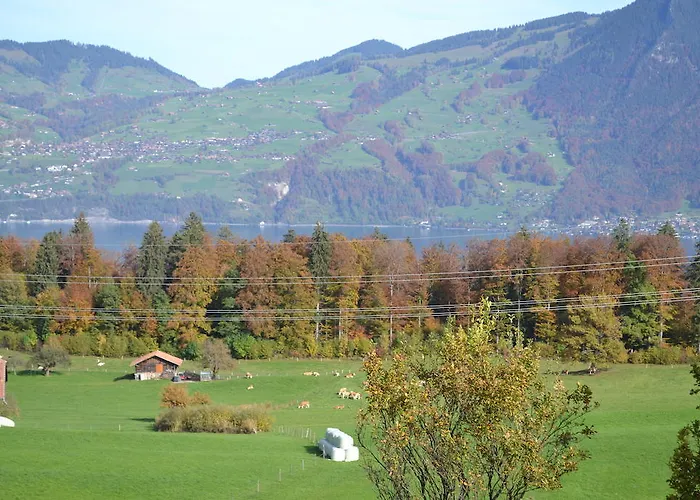 Aeschi Park מלון Aeschi Bei Spiez