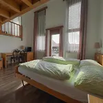 Hotel Aeschi Park 4*