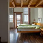 Aeschi Park Hotel 4*