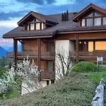 Hotel Aeschi Park 4*