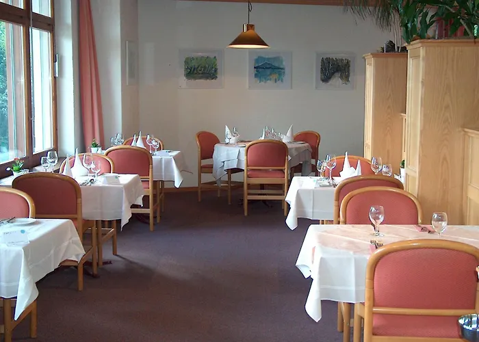 Aeschi Park Hotel 4*