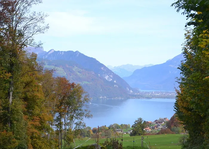 Aeschi Park Hotel 4*